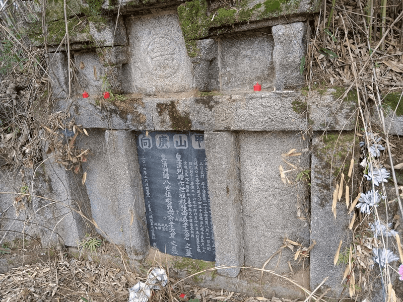 七世祖佘老太君祖坟图片 1