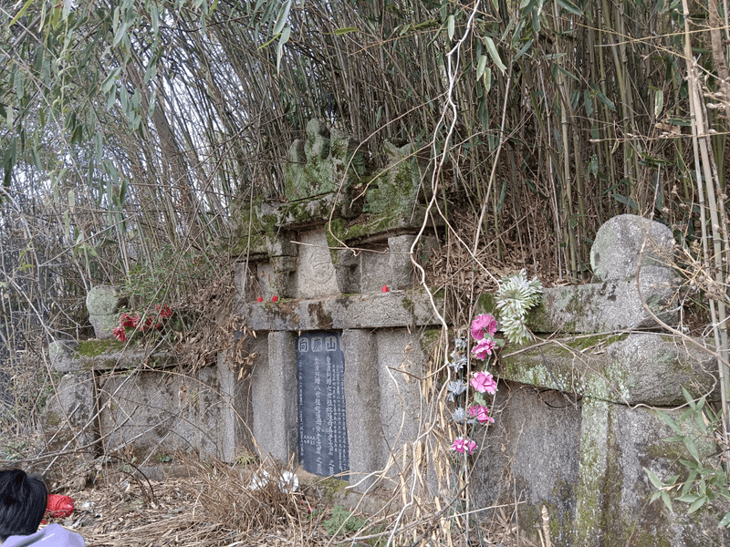 七世祖佘老太君祖坟图片 2