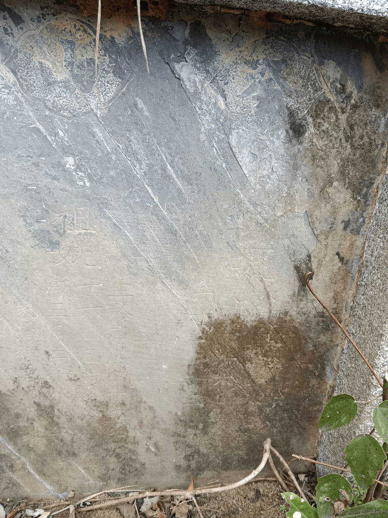 章太君彭太君祖坟图片 4