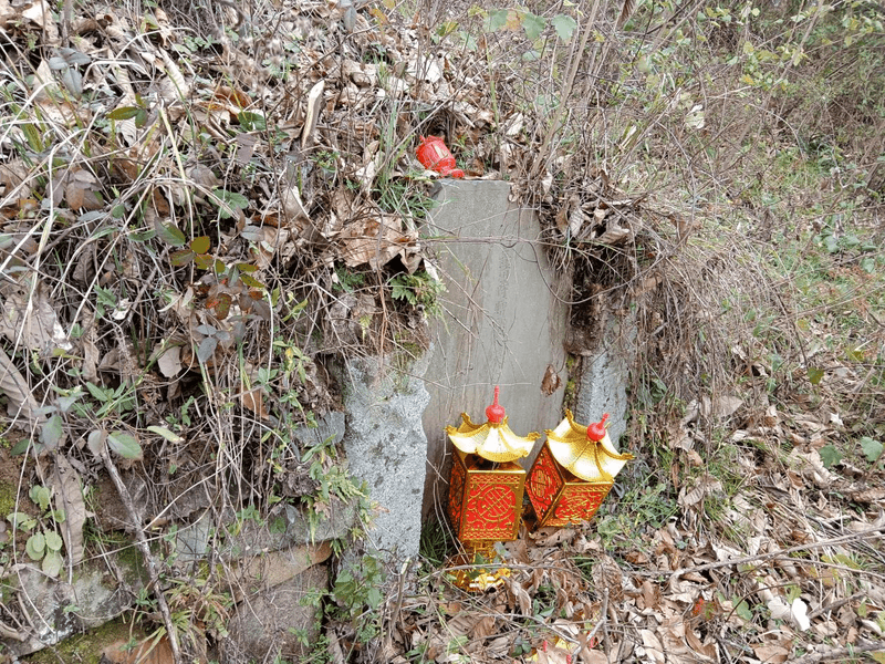 白老太君祖坟图片 1