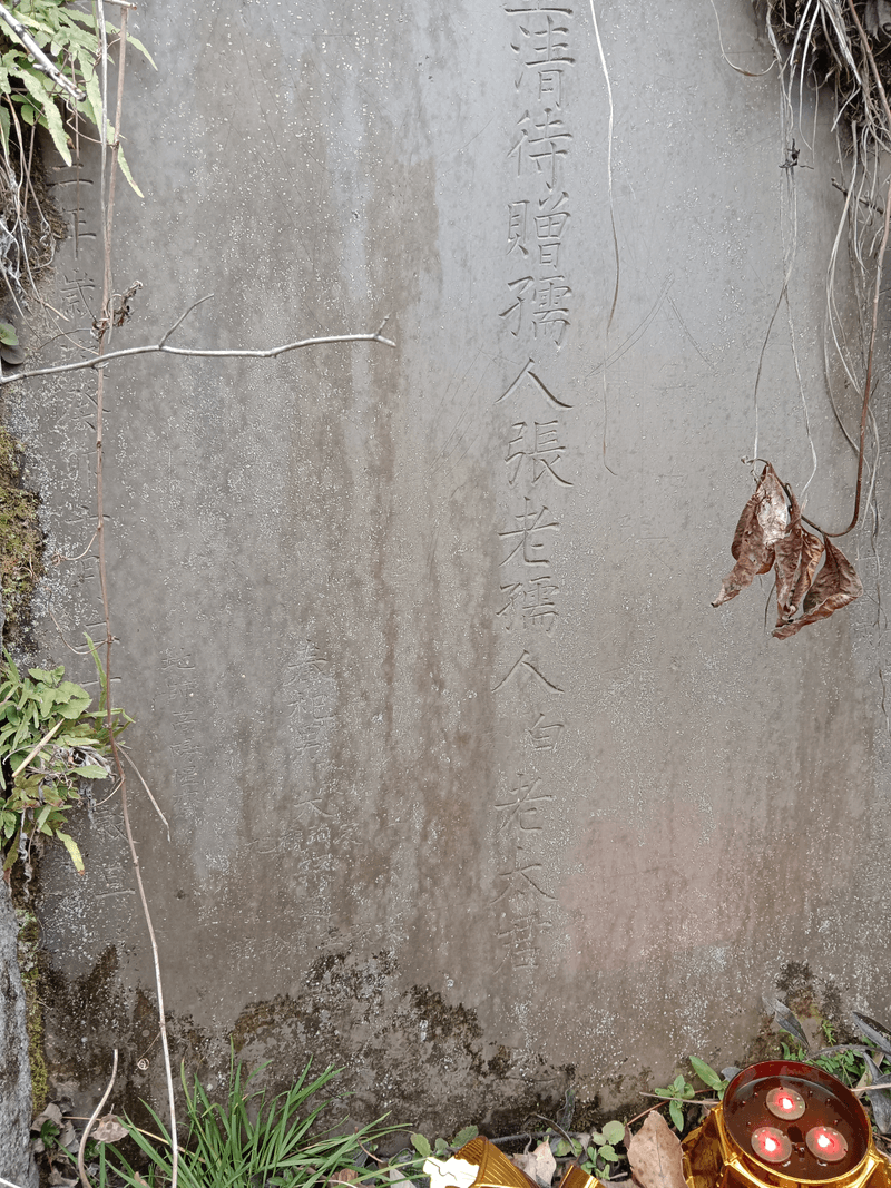 白老太君祖坟图片 2