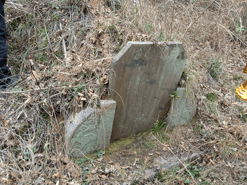 张四公周孺人祖坟图片 2