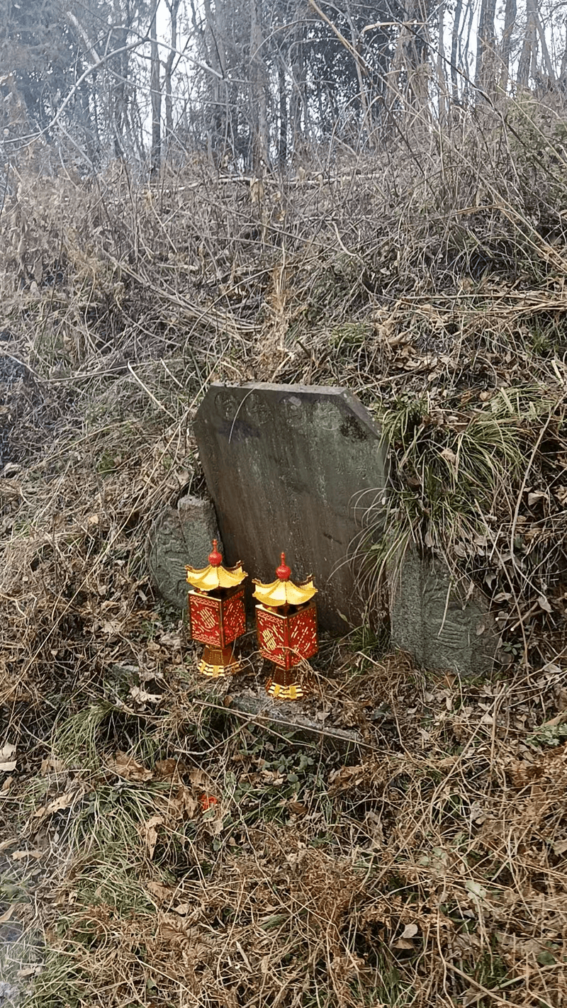 张四公周孺人祖坟图片 3