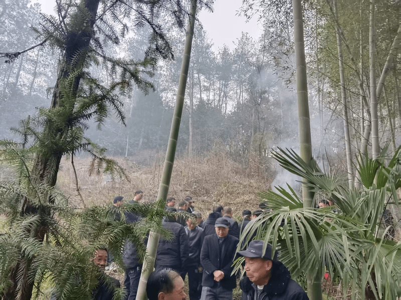 三世祖祖坟图片 4